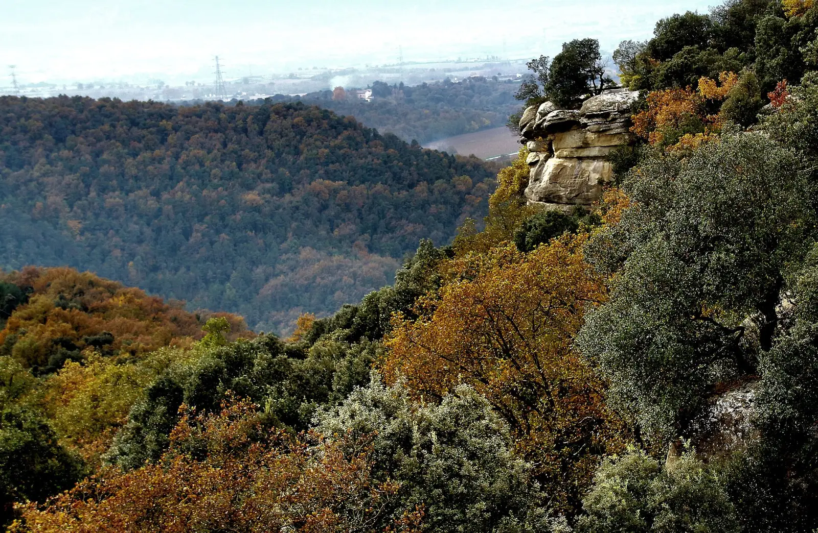 Paisaje de La Selva (interior rural), Girona